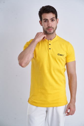 All-day Polo (Carv)